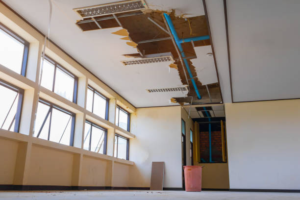 Best Water damage restoration near me  in Kadelphia, AR