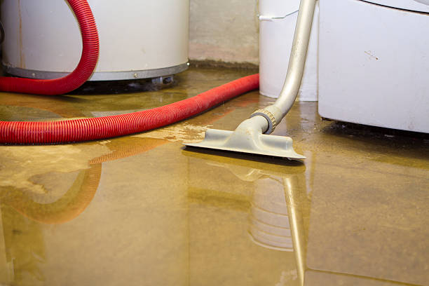 Best 24-hour water damage restoration  in Kadelphia, AR