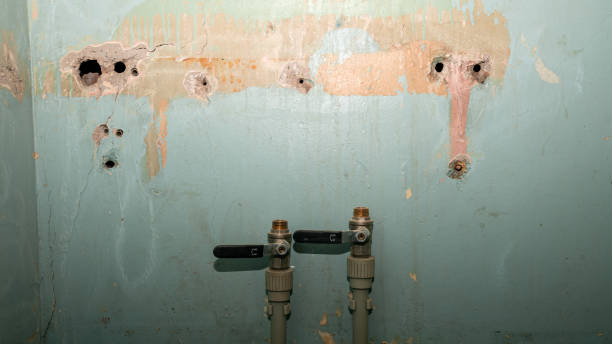 Best Emergency water extraction  in Kadelphia, AR