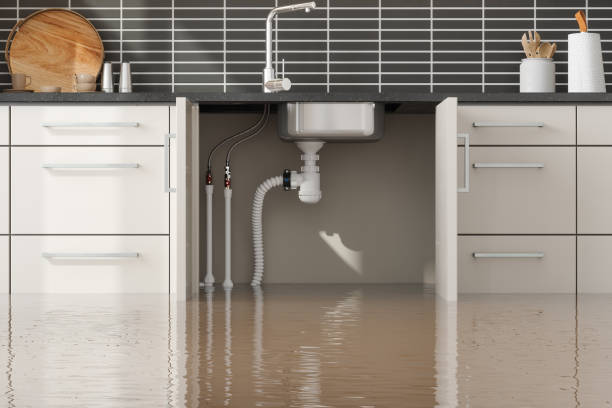 Best 24-hour water damage restoration  in Kadelphia, AR