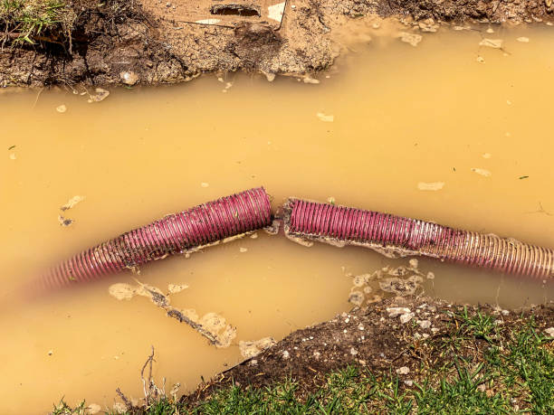 Local water damage restoration in Arkadelphia, AR